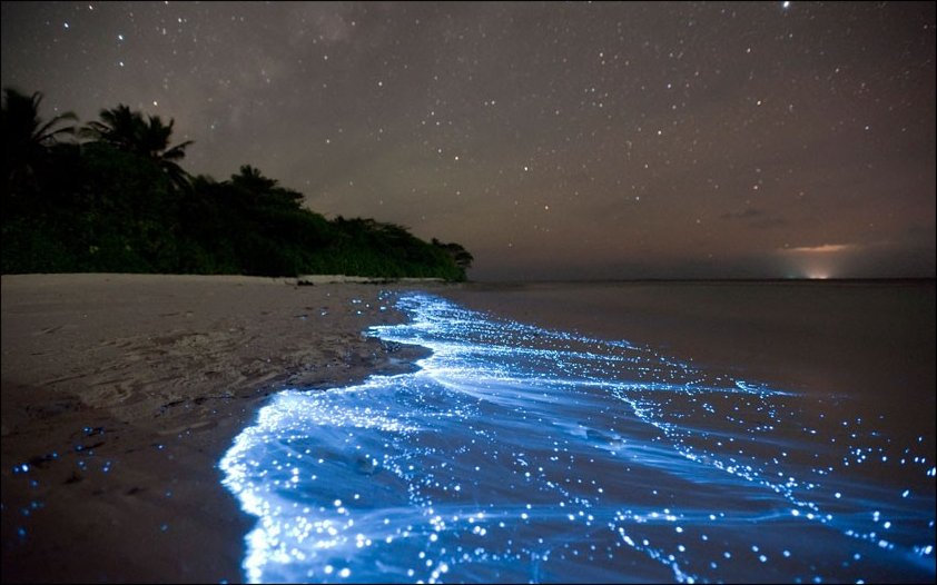 09_bioluminescent-bloom-ocean-phenomena
