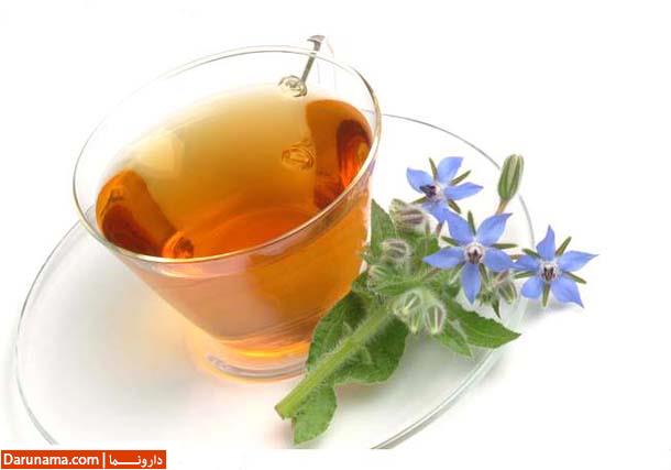 Borage tea - Borago officinalis
