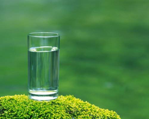 glass-water-on-moss-1
