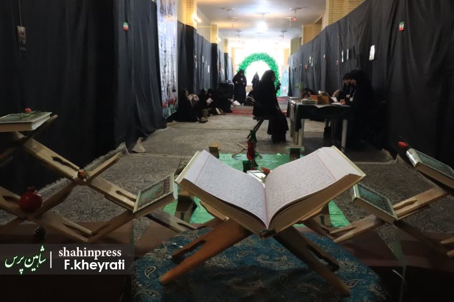 photo_2025-11-11_23-15-26