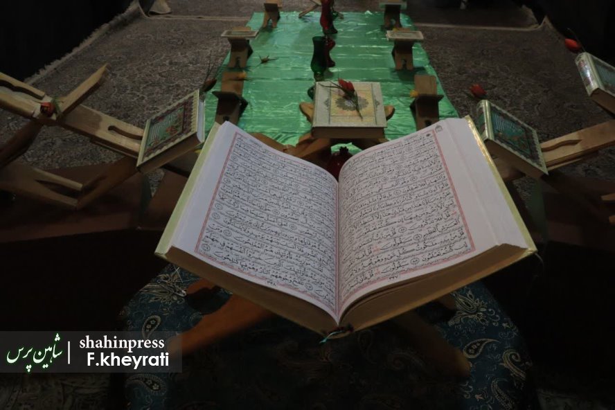 photo_2025-11-11_23-15-36