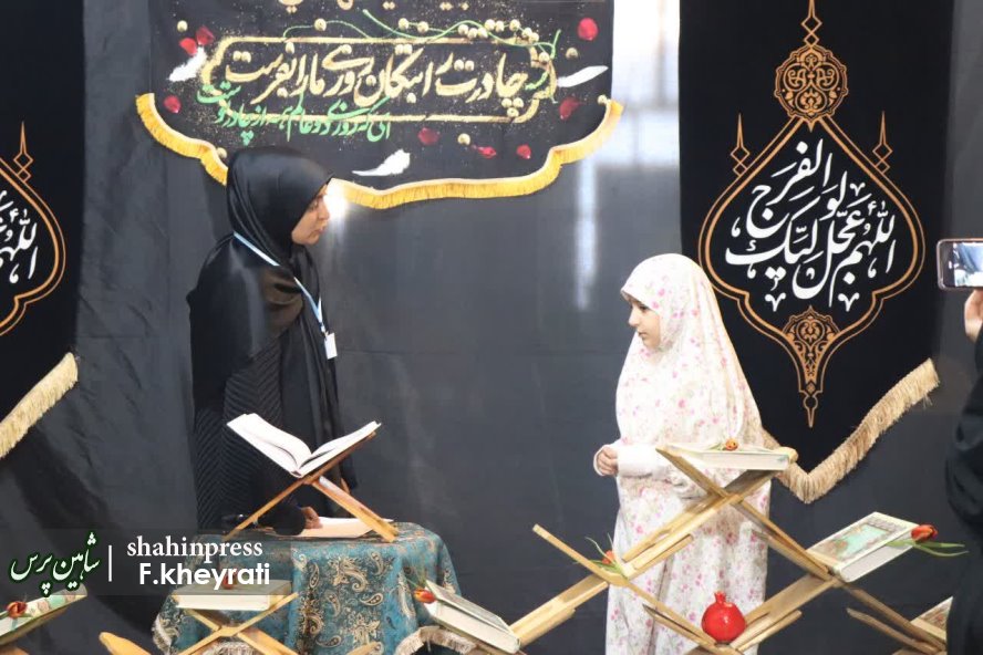 photo_2025-11-11_23-17-47