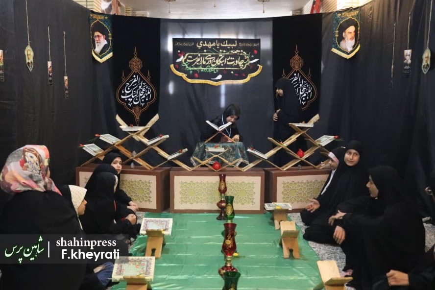 photo_2025-11-11_23-19-07