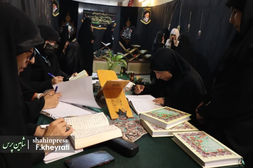 photo_2025-11-11_23-19-19