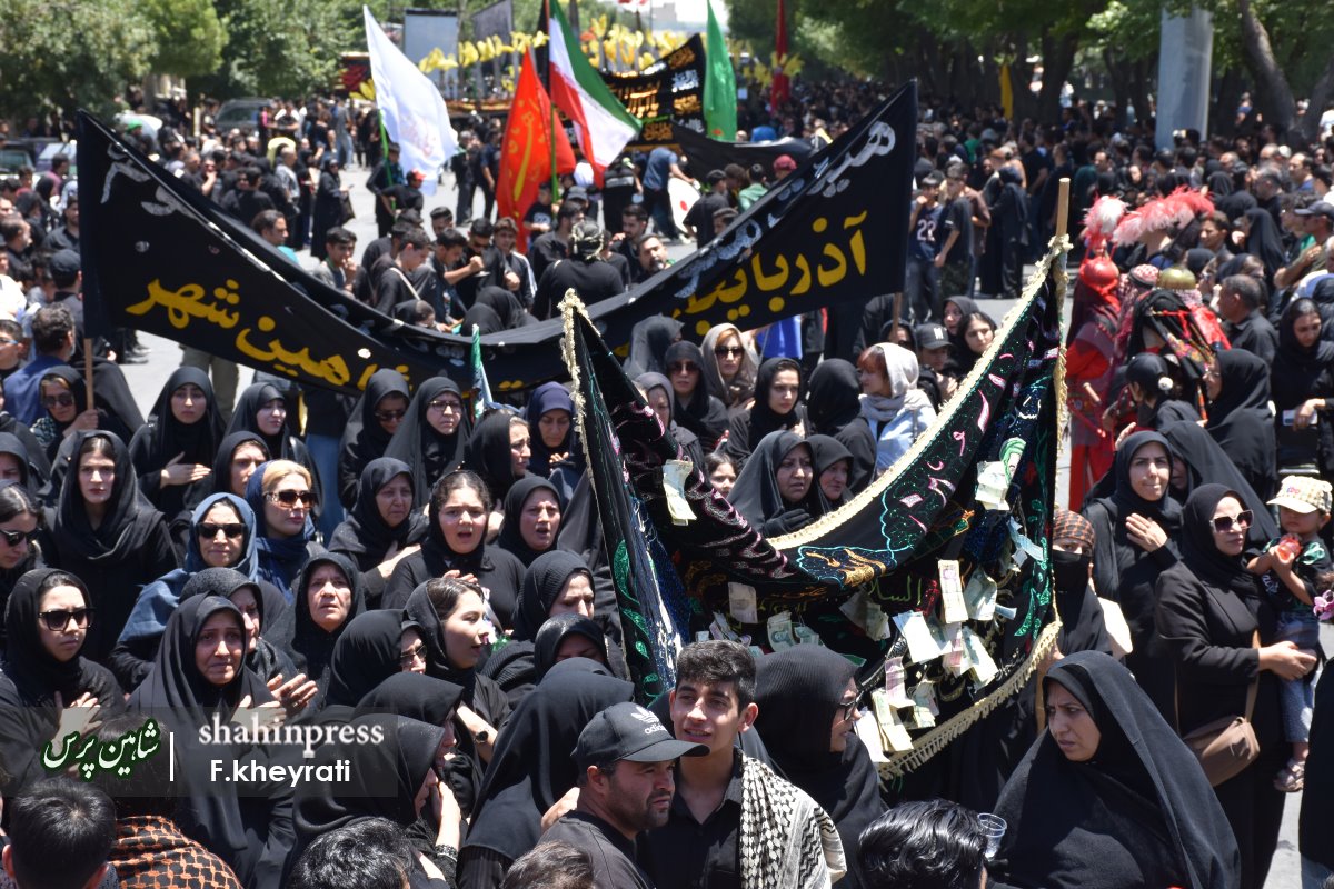 DSC_8598