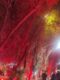 IMG_20260728_003156-575323